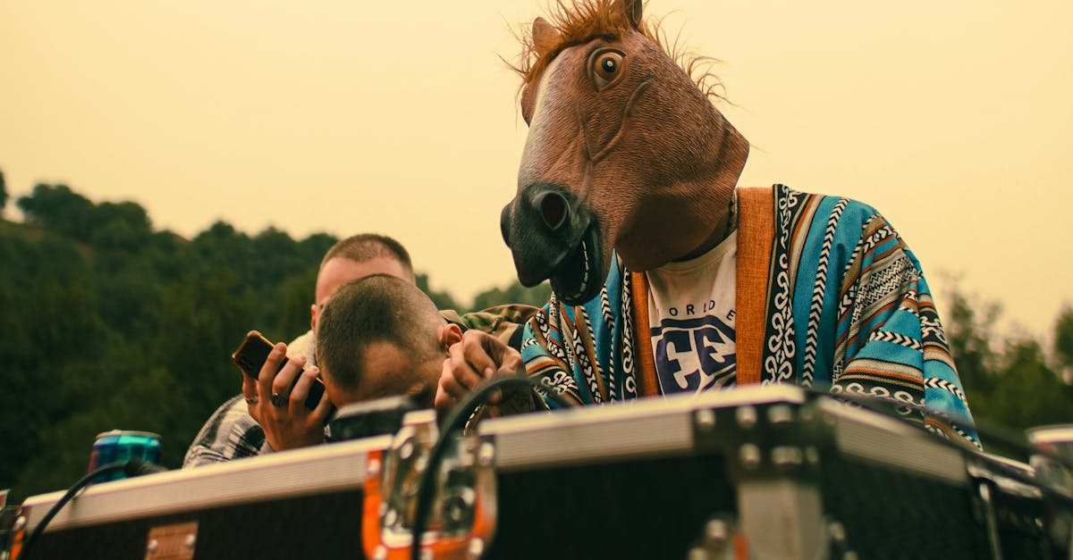 Review: The Best Feather Flags for Festival Advertising