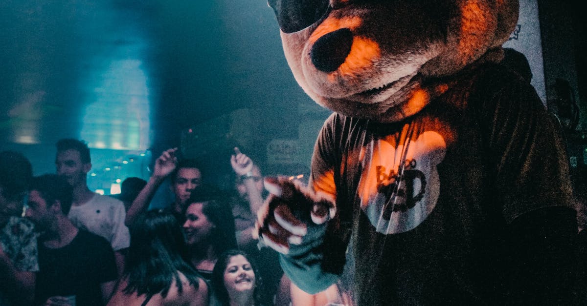 Review: The Best Feather Flags for Festival Events